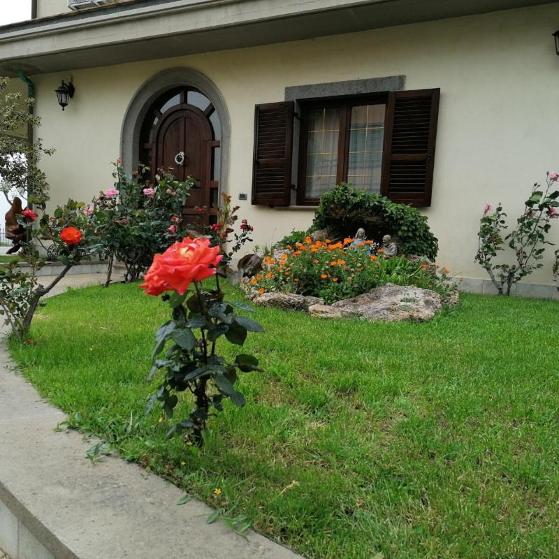 B&B Il Belvedere Viterbo Zewnętrze zdjęcie